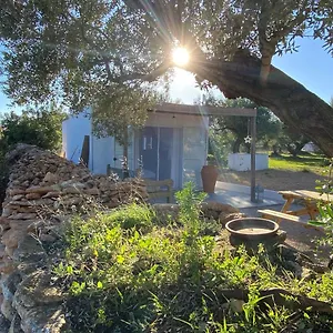 Alba Studio , Campredo España